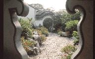 19.吃虫的植物